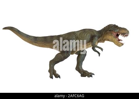 Porträt einer walking Tyrannosaurus rex mit offenen Mund auf weißem Hintergrund Stockfoto