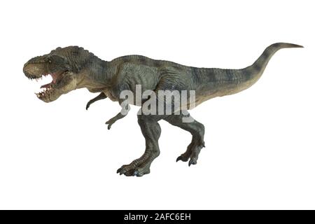 Porträt einer walking Tyrannosaurus rex mit offenen Mund auf weißem Hintergrund Stockfoto