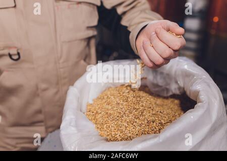 Tatorts auf der Hand ein Erzeuger, soyabean Samen. Eine gesunde Bio-Produkte Stockfoto