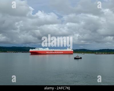 Panama - 11/6/19: Die Sicht von einem Kreuzfahrtschiff der Schiffe in den Gatun See wartet der Panamakanal Transit zu. Stockfoto