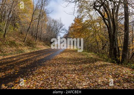 Herbst Straße in der Great Smoky Mountains National Park mit bunten Blättern der Appalachian Herbst Farbe. Stockfoto