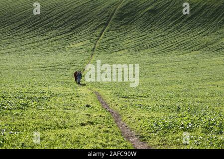 Wanderer auf einem Wanderweg überqueren ein Tal in den South Downs National Park, in der Nähe von Rottingdean, East Sussex. Stockfoto