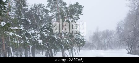 Foto von einem Baum mit trockenen Blättern im Schnee. Pflanzen im Park im Winter. Stockfoto