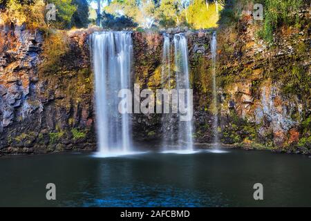 Vor der weiten hohen Dangar falls Wasserfall die Streaming aus vulkanischen Felsen nach unten zu Süßwasser-Pool im Dorrigo National Park - Australische wil Stockfoto