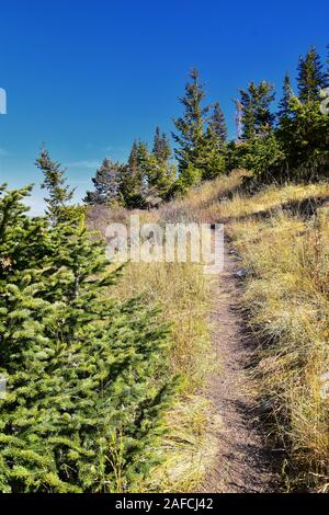 Butterfield canyon Wanderweg Blick auf den Oquirrh Bereich entlang der Wasatch Front Rocky Mountains, durch Kennecott Rio Tinto Kupfermine, Tooele und Salz Stockfoto