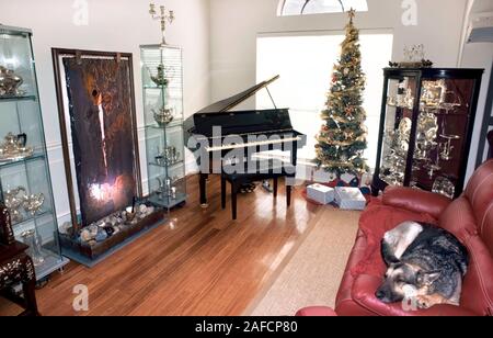 Moderne Musik Zimmer zur Weihnachtszeit mit Greman Schäferhund. Stockfoto