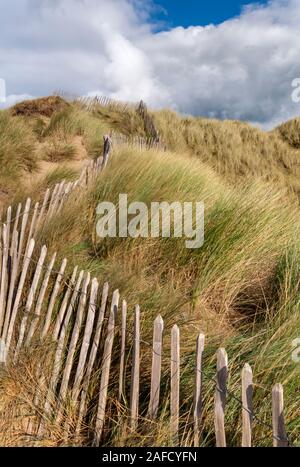 Northam Burrows Country Park, Sanddünen und Marramgräser mit Fechten, North Devon, South West, Großbritannien Stockfoto