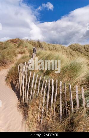 Northam Burrows Country Park, Sanddünen und Marramgräser mit Fechten, North Devon, South West, Großbritannien Stockfoto