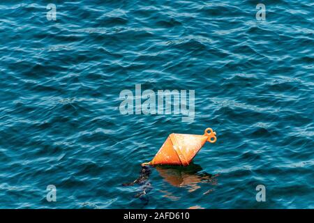 Eine orange Liegeplatz auf der Oberfläche des Wassers Boje. Mittelmeer, Italien Stockfoto