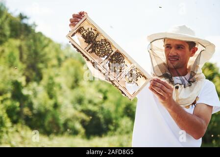 Imker arbeitet mit Wabe voller Bienen im Freien an einem sonnigen Tag Stockfoto