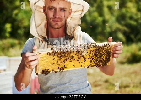 Schaut gerade nach vorn. Imker arbeitet mit Wabe voller Bienen im Freien an einem sonnigen Tag Stockfoto