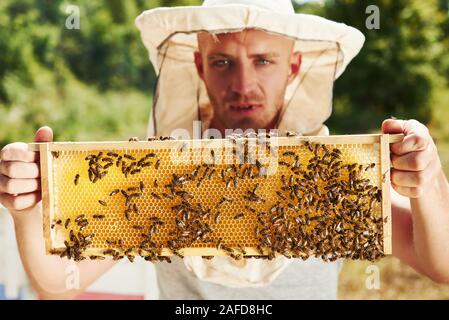 Schaut gerade nach vorn. Imker arbeitet mit Wabe voller Bienen im Freien an einem sonnigen Tag Stockfoto