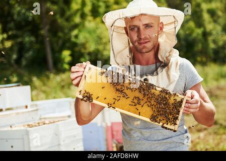 Schaut gerade nach vorn. Imker arbeitet mit Wabe voller Bienen im Freien an einem sonnigen Tag Stockfoto