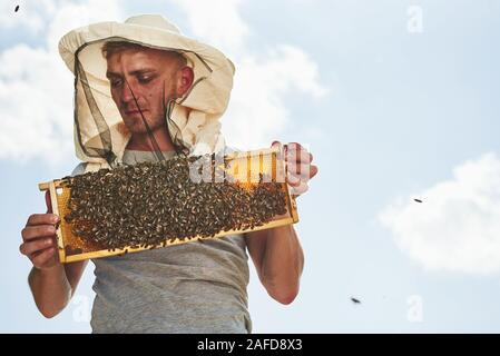 Warmes Wetter. Fast klaren Himmel. Imker arbeitet mit Wabe voller Bienen im Freien an einem sonnigen Tag Stockfoto