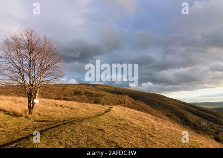 Bratislava (Pressburg): Berg Devinska Kobyla (thebener Kogel) (links), March, Bezirk Devinska Nova Ves (Theben-Neudorf),, Slowakei Stockfoto