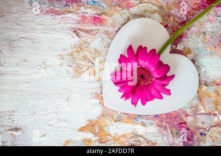 Rosa Gerbera auf einem Hintergrund von weißen Herzen. Textur Hintergrund. Valentinstag Konzept. Stockfoto