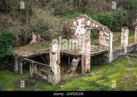 Zerstörte Gebäude mitten in einem üppigen Wald Stockfoto