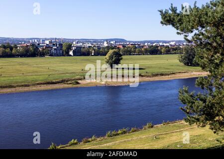 Elbauen mit dem Elberadwanderweg Linie der Elbe in Dresden. Stockfoto