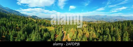 Antenne Panoramablick auf eine ländliche Region mit Pinienwäldern und den Karpaten Gebirge im Hintergrund an einem sonnigen Tag. Banat, Rumänien. Stockfoto