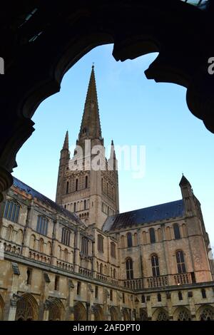 Suchen sie nach oben in Richtung Norwich Cathedral auf einem klaren, blauen Himmel gestochen scharfer Winter Stockfoto