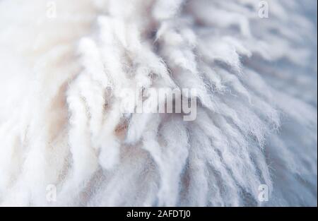 Weißer wolle Textur Hintergrund, Watte, weiß Natürliche Schafwolle. Stockfoto