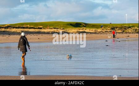 North Berwick, East Lothian, Schottland, Großbritannien. 15. Dezember 2019. UK Wetter: Ein sehr kalten, aber sonnigen Morgen mit Menschen zu Fuß Hunde und eine Frau mit einem Jack Russell Terrier spielen mit einem Ball auf West Strand bei Ebbe neben dem Firth von weiter Stockfoto