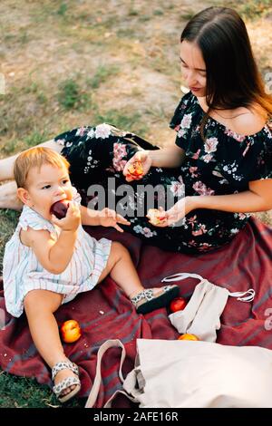 Null Abfall Sommer Picknick auf der mit Pfirsichen. Umweltfreundliche parenting. Natürliche counscious Lebensstil. Tag Sommer Stockfoto