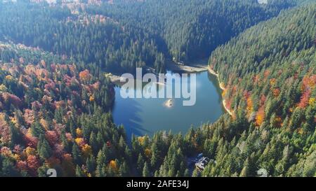 Bildhaft tiefblau ruhigen Bergsee mit Baumschatten auf der Oberfläche von dichten Wäldern umgeben von Herbst Sonne Luft beleuchtet. Karpaten Berge, Ukraine Schönheit Natur. Reisen, Sommerferien. Stockfoto