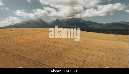 Drone Flight above Yellow Wheat Field Slovakia. Rural Aerial View of Crop Harvest. Clear Sky with Cloud Tatry Mountain Range on Background. Summer Countryside Landscape. Stockfoto