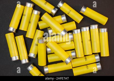 Gelb 20 gauge Shotgun shells auf schwarzen Hintergrund isoliert. Stockfoto