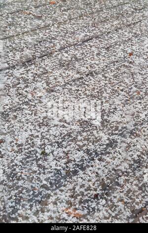 Bournemouth, Dorset UK. 15. Dezember 2019. UK Wetter: Schwere hagelkorn Sturm mit einem plötzlichen Überschwemmung der Hagel in Bournemouth. Credit: Carolyn Jenkins/Alamy leben Nachrichten Stockfoto