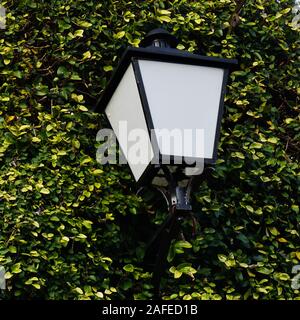 Rusty classic outdoor Lampe auf einer Außenwand in grünen Blättern bedeckt Stockfoto