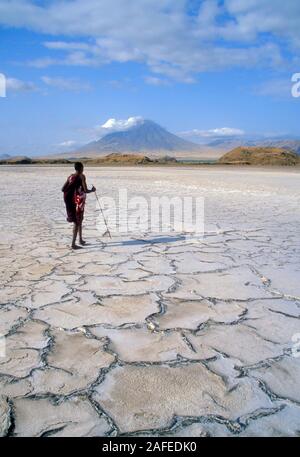 Maasai Varrier zu Fuß auf dem Dired-Out Natron-See genannt Natron-See im Norden von Tansania.  Im Hintergrund ist der Heilige Berg - "Berg Gottes" Stockfoto