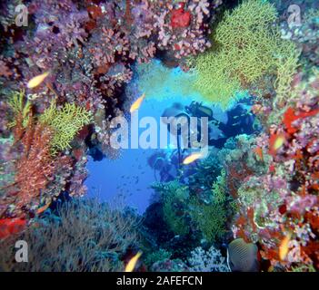 Eine Höhle auf Kuredu Island auf den Malediven tauchen Stockfoto