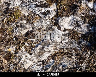 Die Steigung des Berges, mit Steinen, Erde und Pflanzen bedeckt. Kaukasus Stockfoto