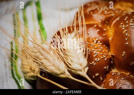 Traditionelle Jüdische geflochtene Challah Brot für Schabbat und Ähren Stockfoto