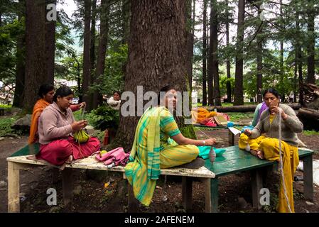 Manali, Himachal Pradesh, Indien: eine Gruppe von indischen Frauen weben ein Wollknäuel sitzen auf einer Bank am Fuße eines Baumes Stockfoto