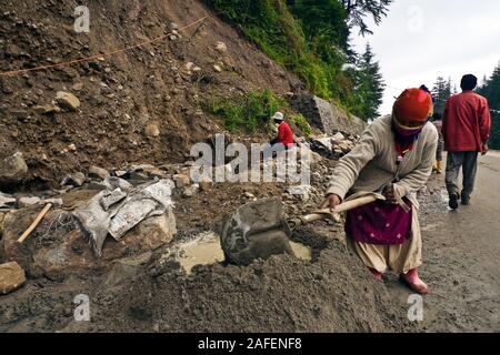 Vashisht, Himachal Pradesh, Indien: eine indische Frau bereitet Zement eine Straße zum Renovieren Stockfoto