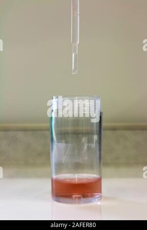 Microscale Titration mit einer Kunststoffpipette und eine kleine Flasche. Das Mischen von Salzsäure mit Natronlauge und phenylthalien als Indikator. Stockfoto