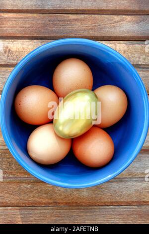 Eine blaue Schale braune Eier mit einem goldenen Ei ruht auf Holzlatten. Stockfoto