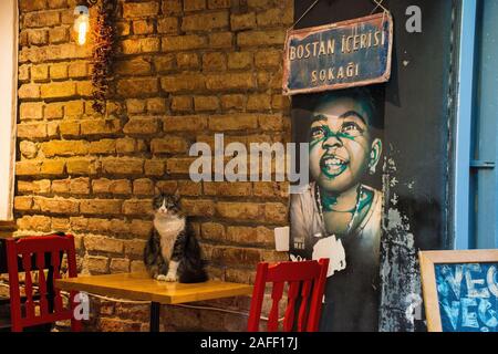 Istanbul, Türkei 8. September 2019. Eine der vielen Katzen im Stadtteil Cihangir von Beyoglu, Istanbul, Türkei Stockfoto