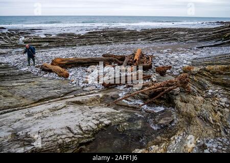 Plage de Viviers Basken Basken Fischteichen Strand, Urugne, Pyrénées-Atlantiques, Frankreich Stockfoto