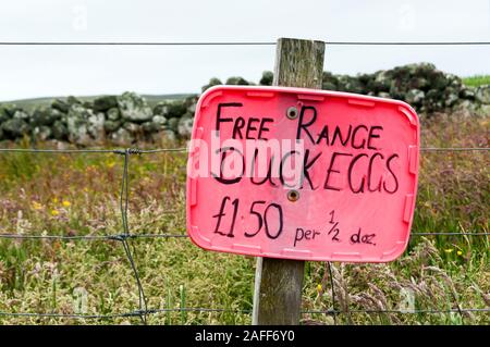 Freie Strecke ente Eier für Verkauf Zeichen. Stockfoto