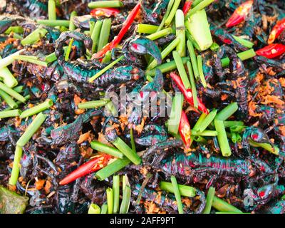 Frittierte Scorpions für Verkauf am Markt Skun in der Provinz Kampong Cham, Kambodscha. Stockfoto