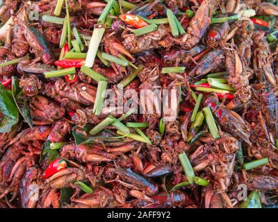 Fritierte Insekten für Verkauf am Markt Skun in der Provinz Kampong Cham, Kambodscha. Stockfoto