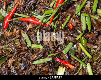 Fritierte Insekten für Verkauf am Markt Skun in der Provinz Kampong Cham, Kambodscha. Stockfoto