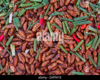 Frittierte Maden für Verkauf am Markt Skun in der Provinz Kampong Cham, Kambodscha. Stockfoto