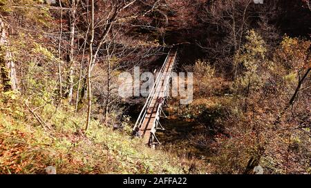 Alte Holzbrücke über den Fluss Dobra im Wald von Kamačnik, in der Nähe der Stadt Vrbovsko in Kroatien Stockfoto