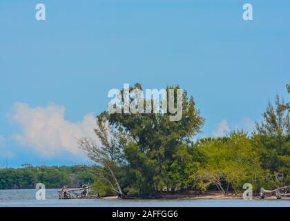 Insel auf Indian River Lagoon bei Vero Beach, Indian River County, Florida, USA Stockfoto