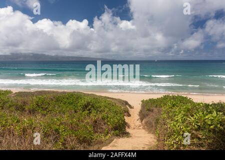 Eine Spur zu den Ozean vom Kapalua Coastal Trail Stockfoto